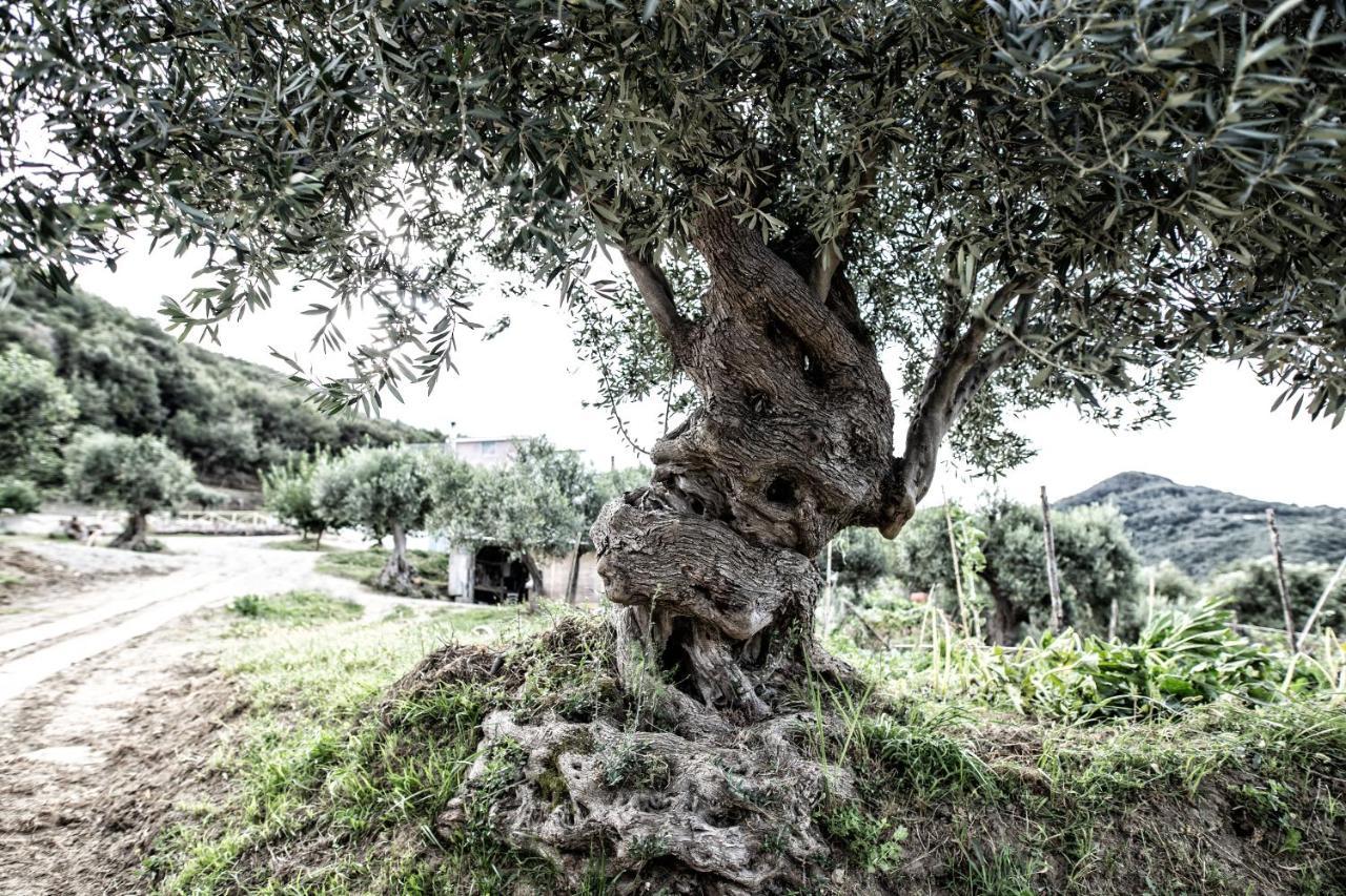 Borgo Rosso Di Sera - Resort Country Chic San Lucido Exterior foto
