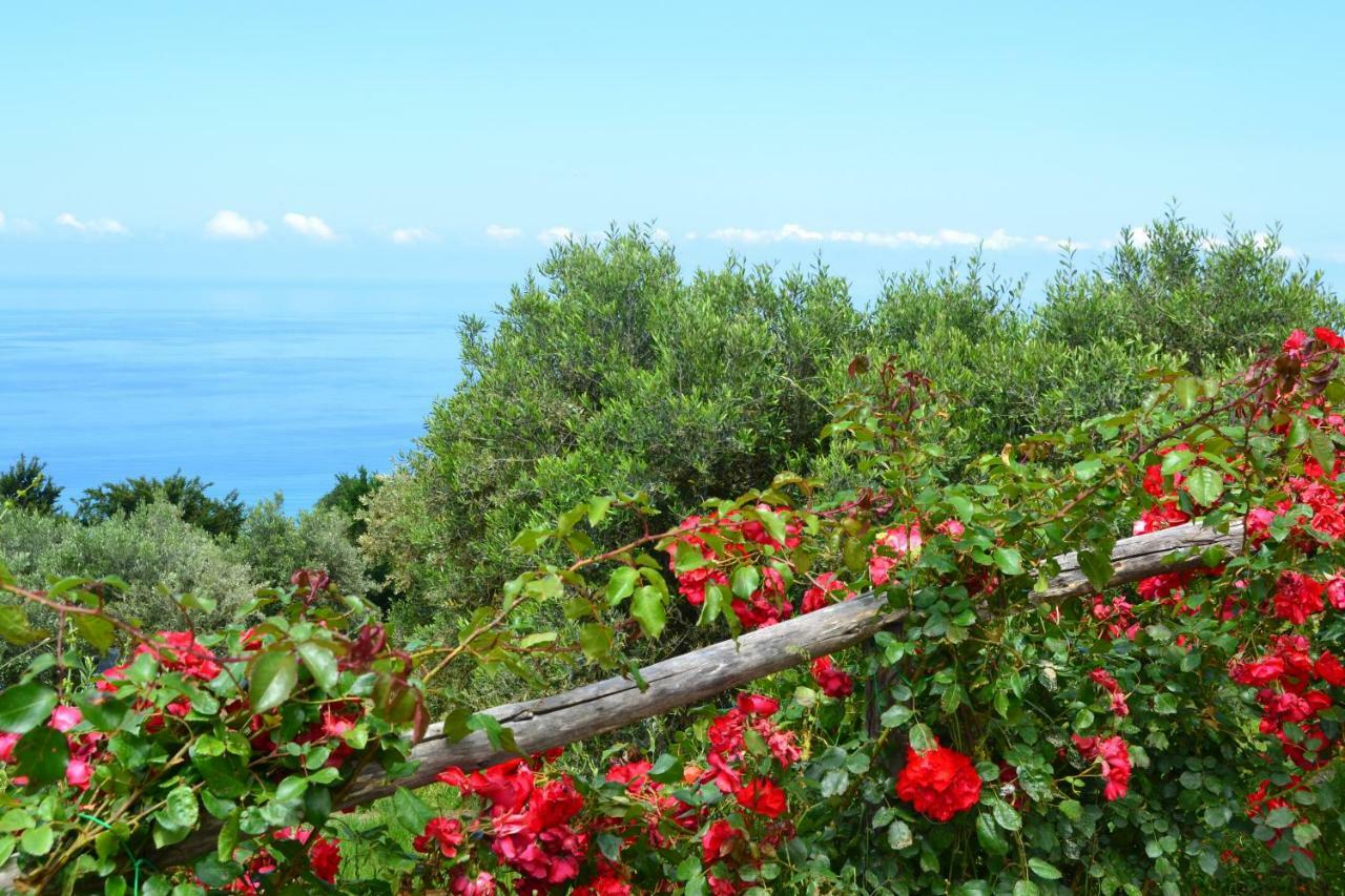 Borgo Rosso Di Sera - Resort Country Chic San Lucido Exterior foto