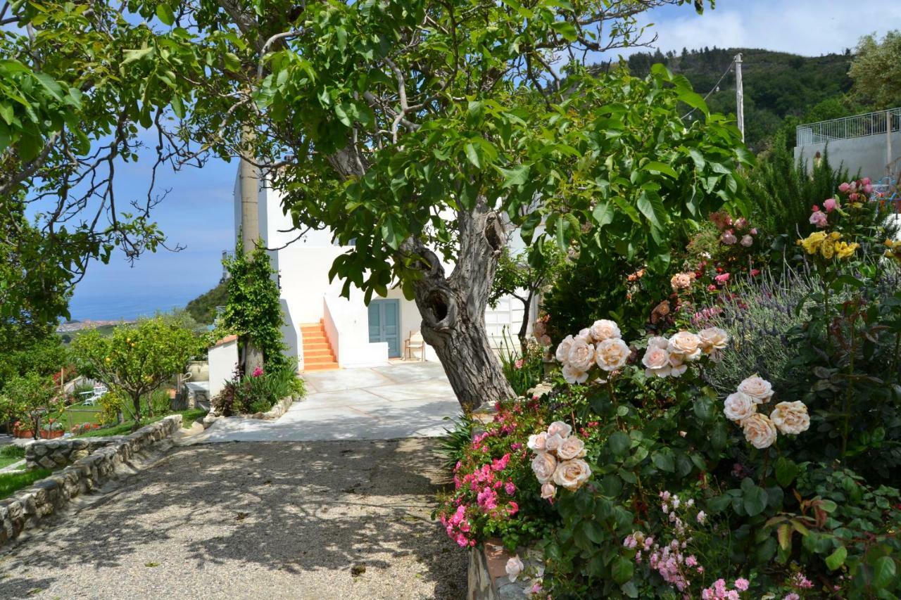 Borgo Rosso Di Sera - Resort Country Chic San Lucido Exterior foto